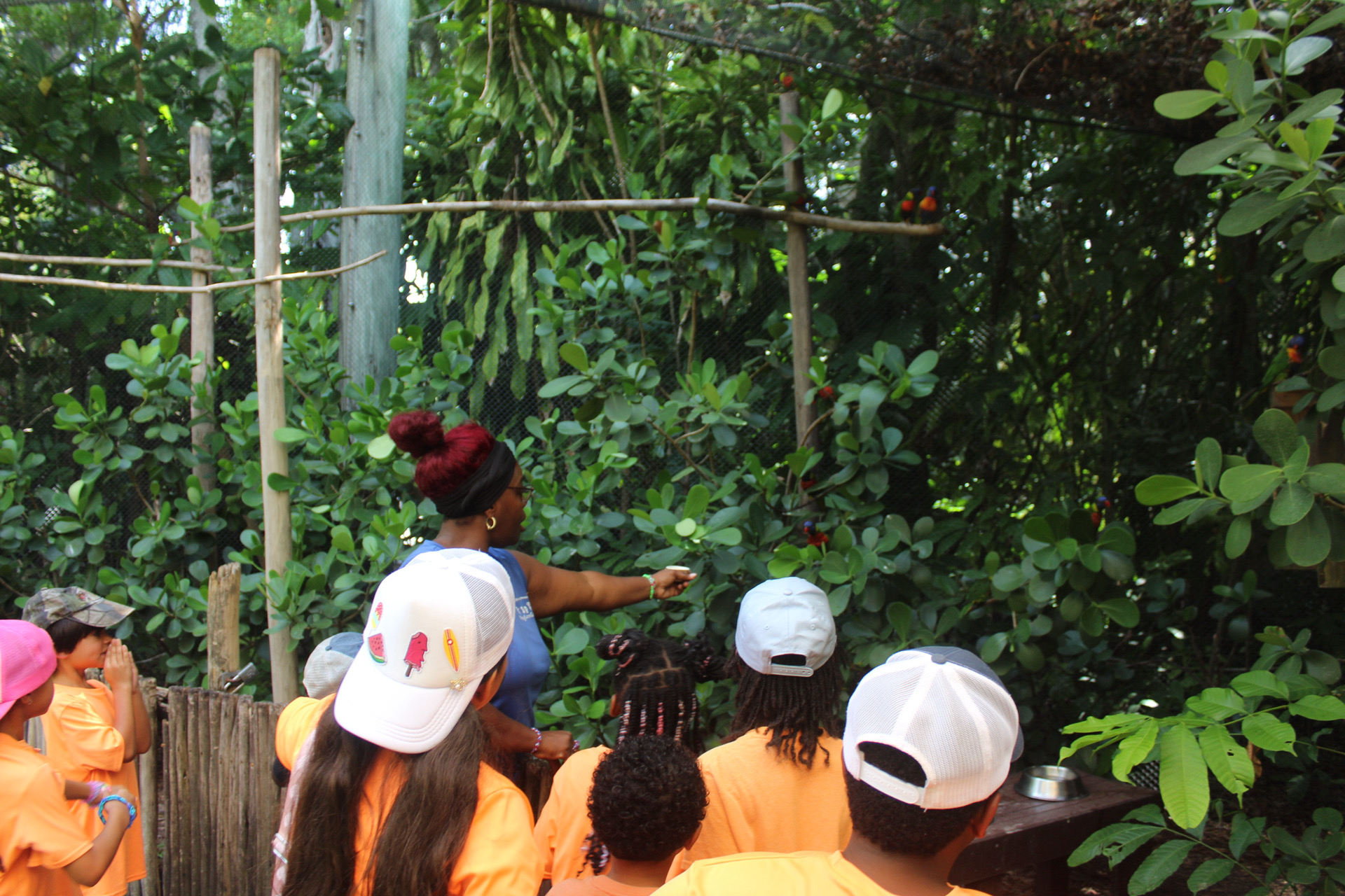 Safari Zoo Day